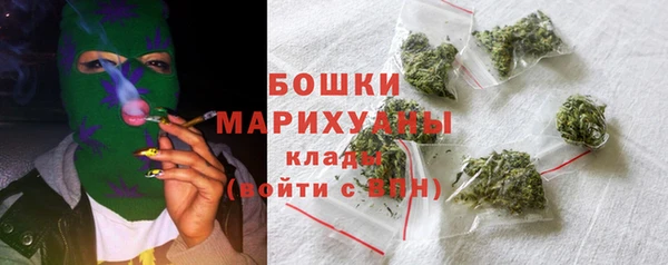 ГАЛЛЮЦИНОГЕННЫЕ ГРИБЫ Богданович